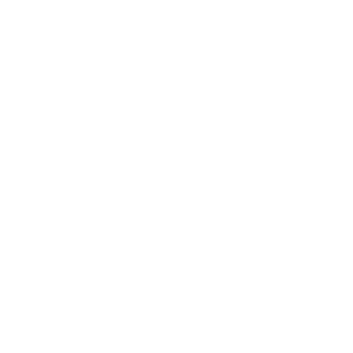 Logo_Genesis